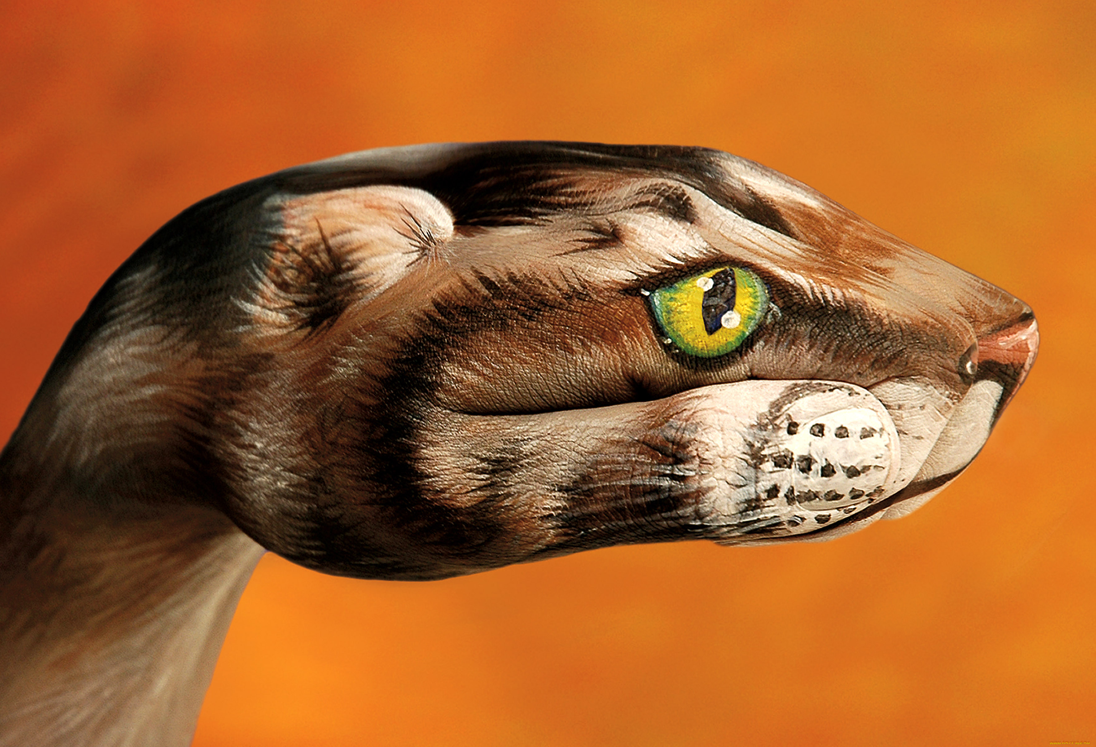 hand, painting, by, guido, daniel, , 